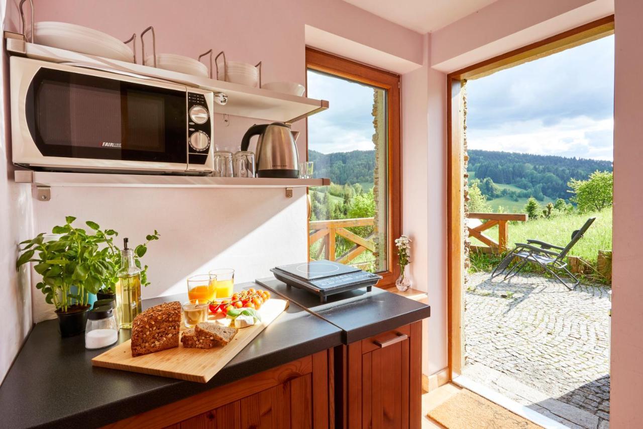 Apartamenty Na Poludniowym Stoku Wierchomla Mala Buitenkant foto